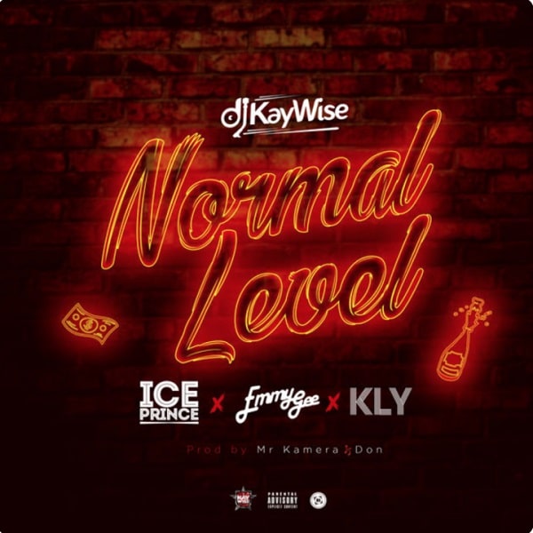 DJ Kaywise Normal Level Artwork