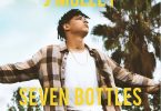 J Molley Seven Bottles Artwork