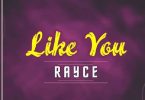 Rayce Like You Artwork