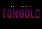 Deji Abdul Tongolo Artwork