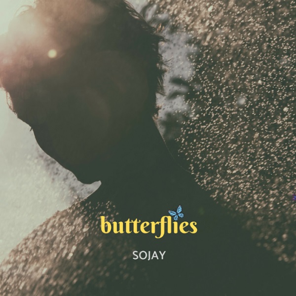 SoJay Butterflies Artwork