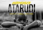 Harmonize Atarudi Artwork