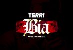 Terri Bia Artwork