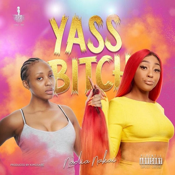 Nadia Nakai Yass Bitch Artwork