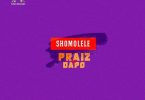 Praiz Shomolele Artwork