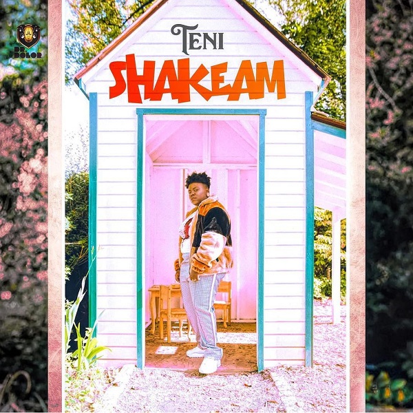 Teni Shakeam Artwork