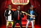 Download mp3 Fiokee ft Davido, Peruzzi Dumebi mp3 download