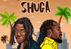 Stonebwoy Shuga