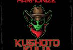 Harmonize – Kushoto Kulia