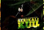 Paul Maker – Serikali Kuu ft. Harmonize