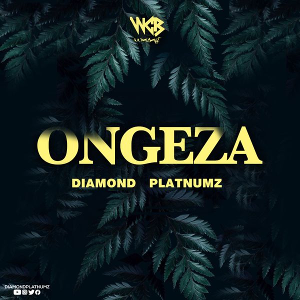 Diamond Platnumz – Ongeza