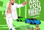 Skiibii – Are You Vhere