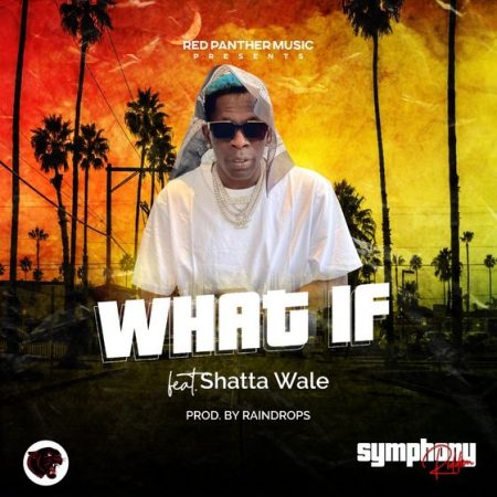 Shatta Wale – What If