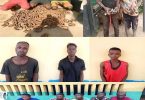 Nigerian police arrest 13 railway vandals