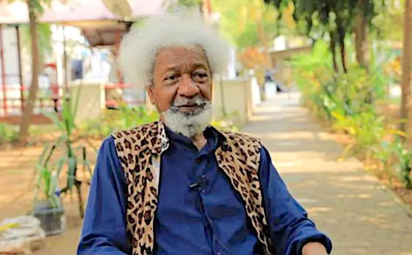 Why proscribe IPOB and not Miyetti Allah? - Wole Soyinka asks (video)