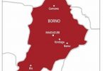 15 persons drown in Borno river