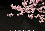 Masa Takumi - Sakura Album